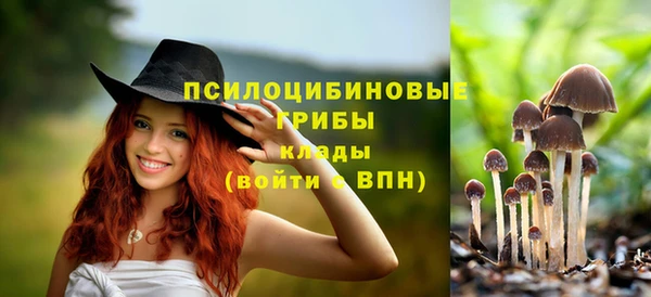 шишки Балабаново