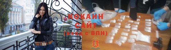 дмт Аркадак