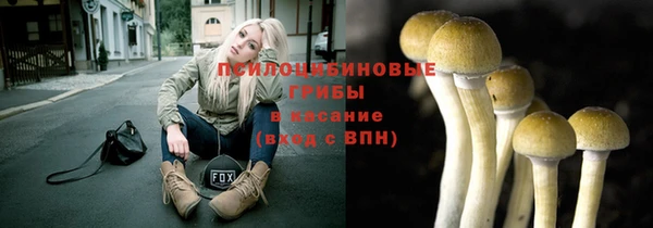 тгк Армянск
