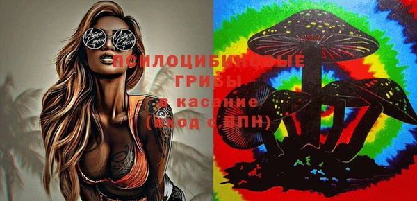 тгк Армянск